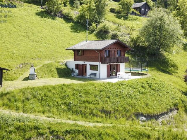 Haus kaufen in Les Mayens-de-Sion, Wallis