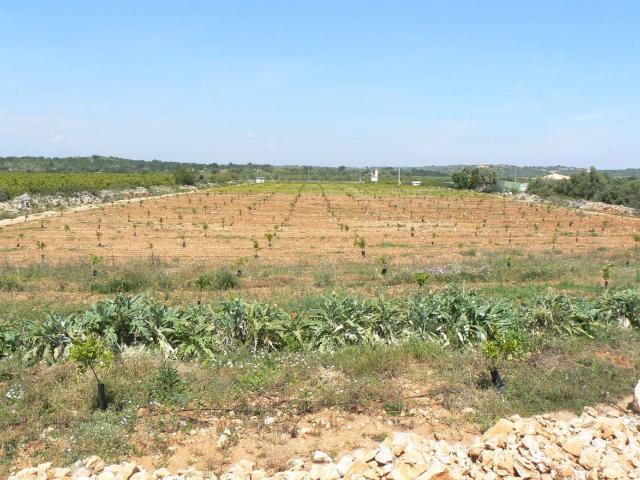 Chalet en venta en el Baix Maestrat, Valencia
