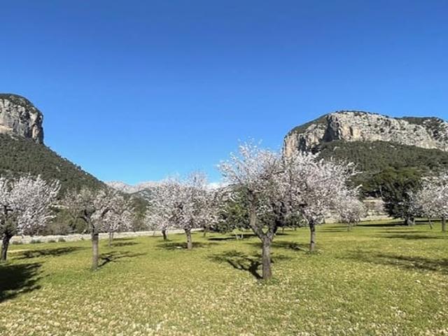 Chalet en venta en es Pontarró, Raiguer