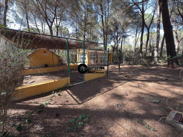 Chalet en venta en Centro, Albacete