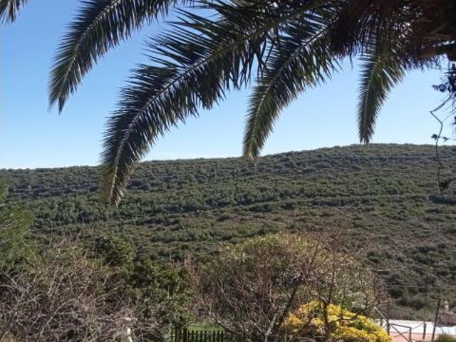 Casa en venta en Nueva Sierra de Altomira, Albalate De Zorita