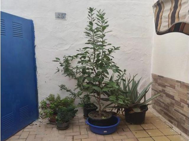 Casa en venta en el Baix Segura / La Vega Baja, Valencia
