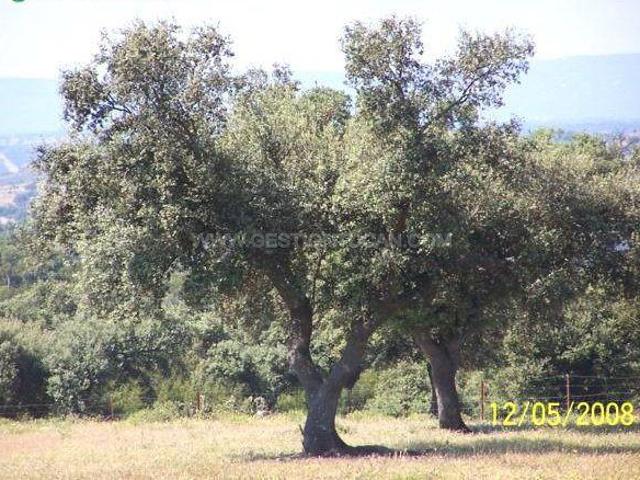 Chalet en venta en Alcántara, Extremadura