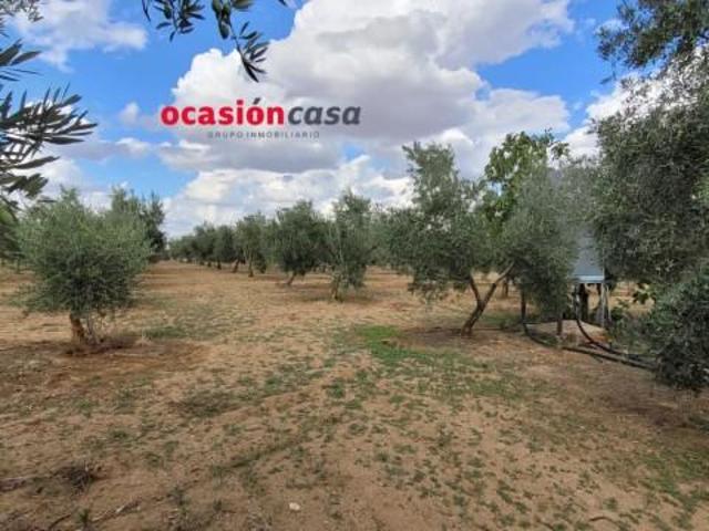 Chalet en venta en Alcaracejos, Andalucía