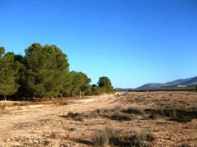 Chalet en venta en Bajo Guadalentín, Murcia
