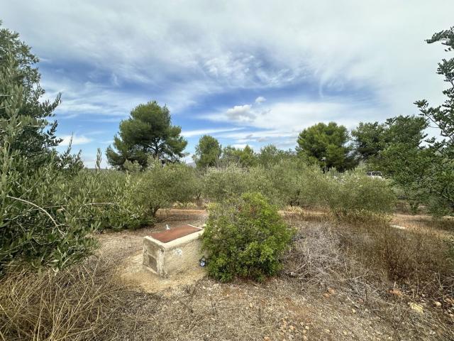 Chalet en venta en Algar de Palància, València / Valencia
