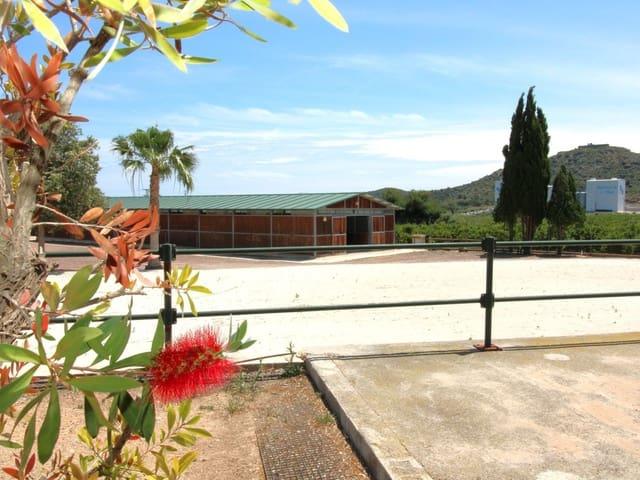 Chalet en venta en la Plana Baixa, Valencia