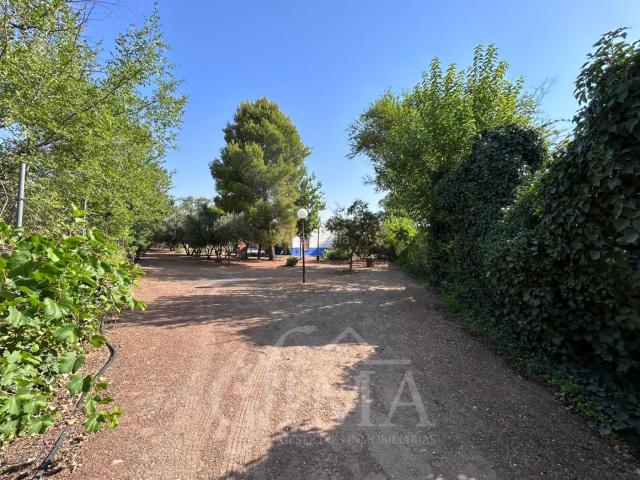 Chalet en venta en Argamasilla De Alba, Castilla-La Mancha