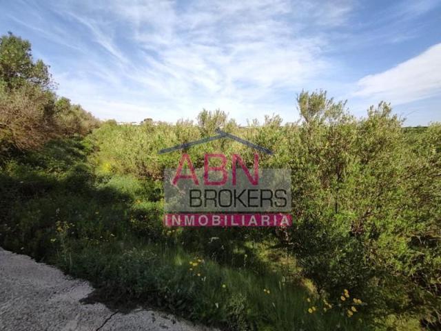 Chalet en venta en la Vall d'Albaida, Valencia