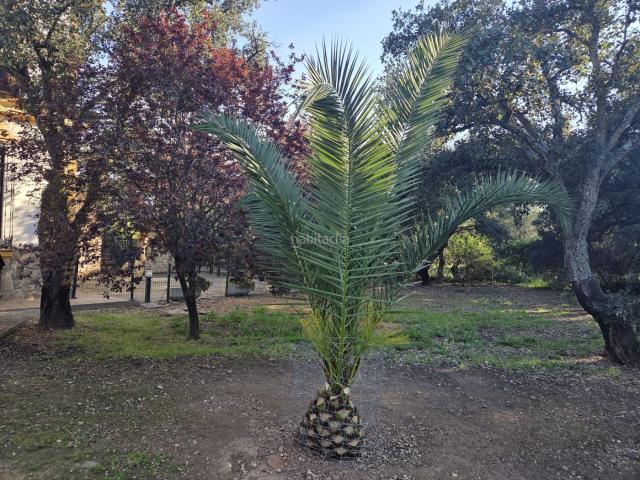 Chalet en venta en Casco Antiguo, Tierra de Badajoz