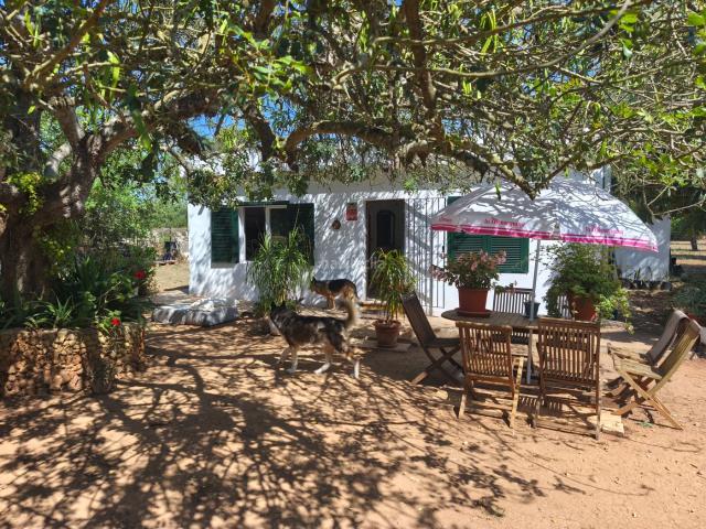 Chalet en venta en Pla de Mallorca, Baleares