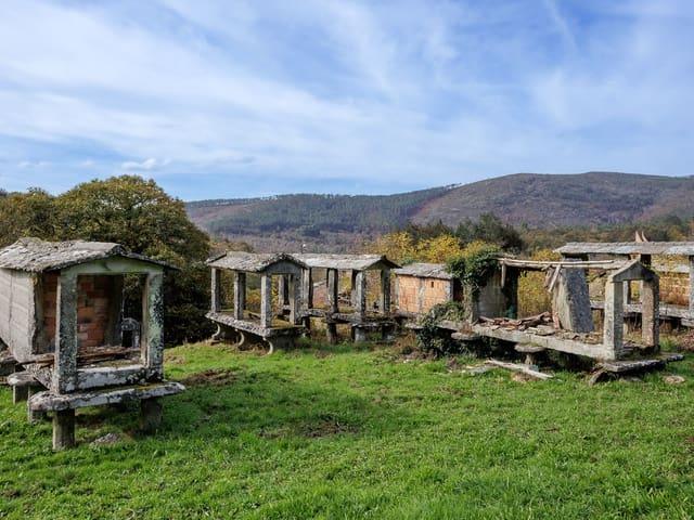 Chalet en venta en O Carballiño, Galicia