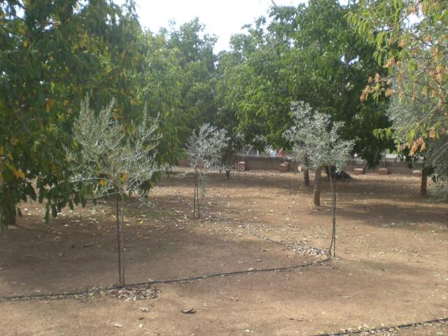 Chalet en venta en Belmez, Córdoba