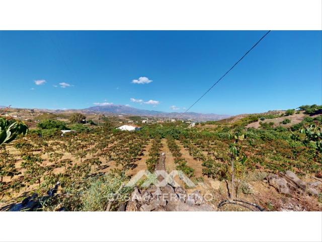 Villa en venta en Benamocarra