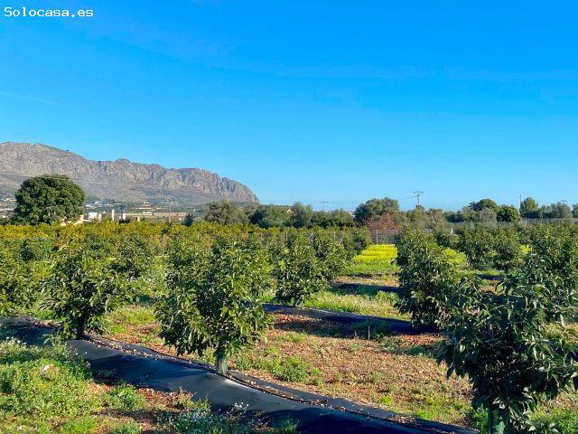 Casa en venta en la Marina Alta, Valencia
