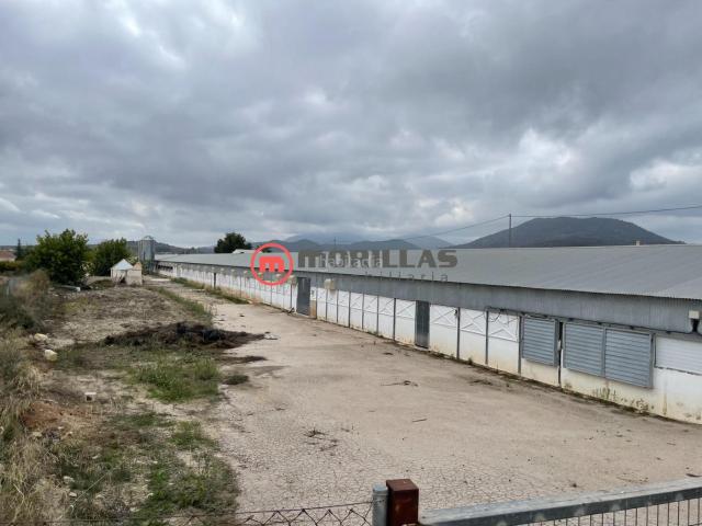 Chalet en venta en Bullas, Murcia