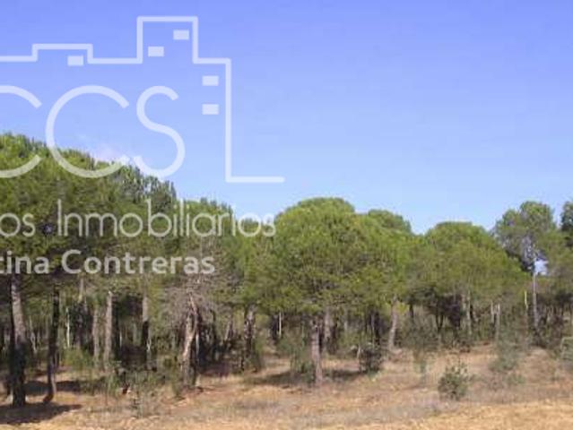 Chalet en venta en El Andévalo, Andalucía