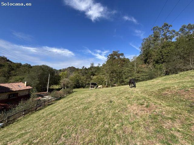 Casa en venta en Cabrales, Asturias / Asturies