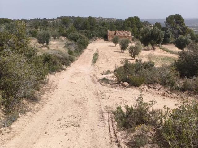 Chalet en venta en Matarraña / Matarranya, Calaceite