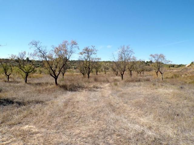 Chalet en venta en Matarraña / Matarranya, Calaceite