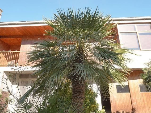 Villa en venta en Vila-sacra