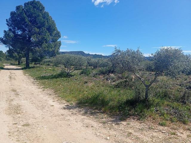 Chalet en venta en Ribera d'Ebre, Catalunya