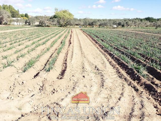 Chalet en venta en Mas Clariana, Alt Camp