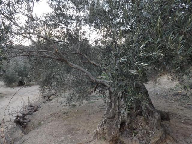 Chalet en venta en Cambil, Andalucía