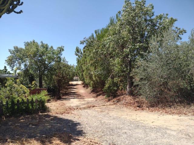 Chalet en venta en Barriada Nuestra Señora del Rosario, Cantillana