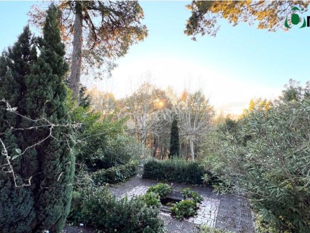 Chalet en venta en O Carballiño
