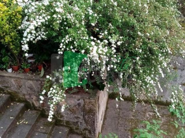 Chalet en venta en O Carballiño