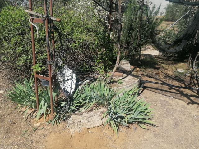 Chalet en venta en La Carlota, Andalucía