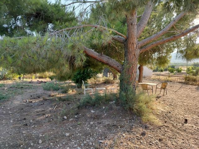 Chalet en venta en el Camp de Túria, Valencia