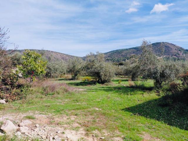 Chalet en venta en la Marina Alta, Valencia