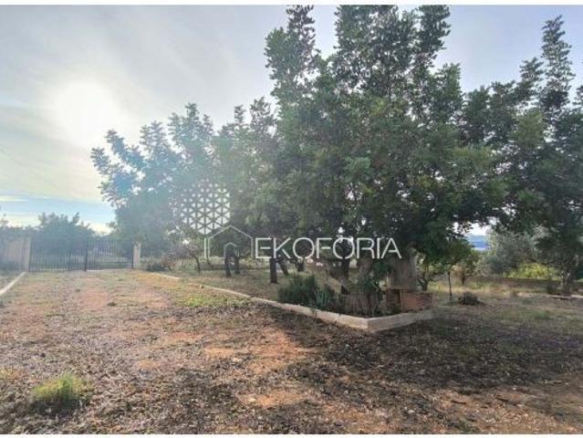 Casa en venta en La Hoya de Buñol, Valencia