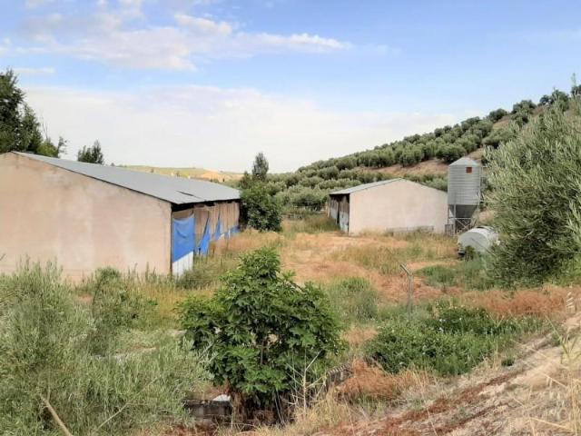 Chalet en venta en Chilluévar, Andalucía