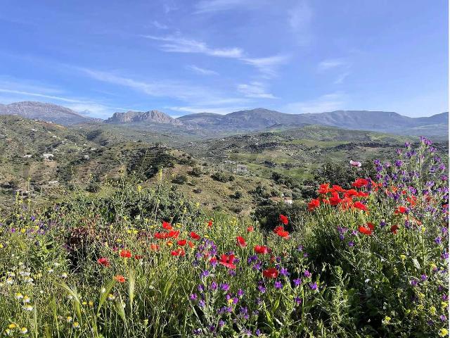 Chalet en venta en Las Encinillas, La Axarquía