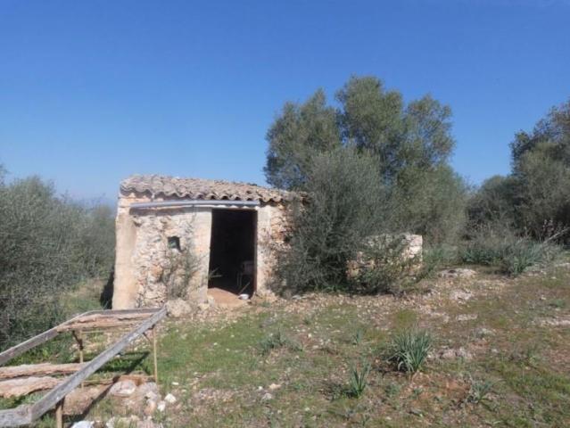 Chalet en venta en Pla de Mallorca, Baleares