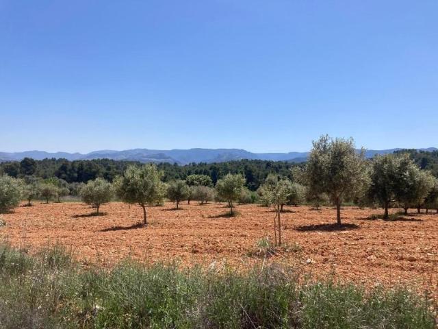 Chalet en venta en Matarraña / Matarranya, Cretas
