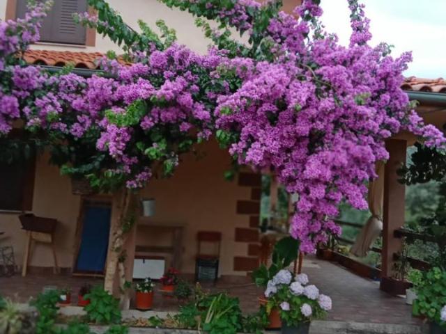 Chalet en venta en El Torno, Extremadura