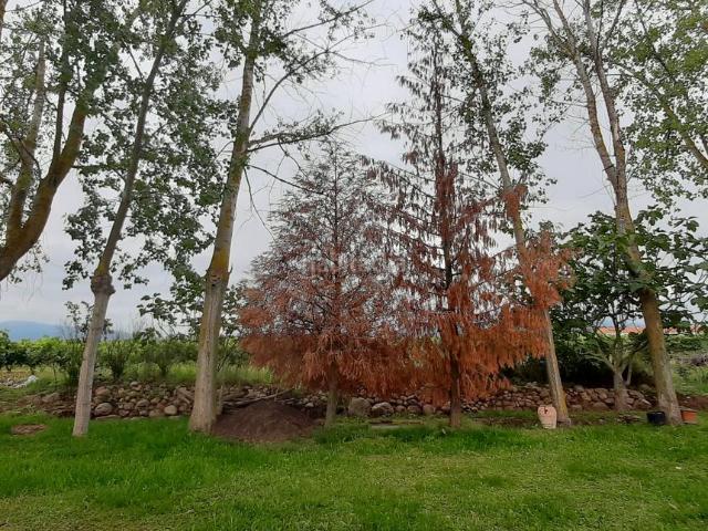 Chalet en venta en Entrena, La Rioja