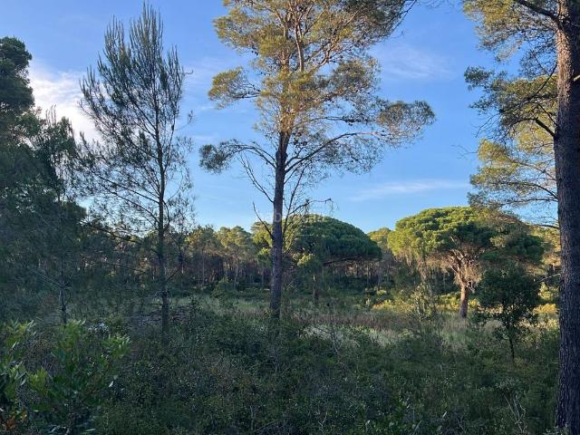 Chalet en venta en Camp dels Pilans, Alt Empordà