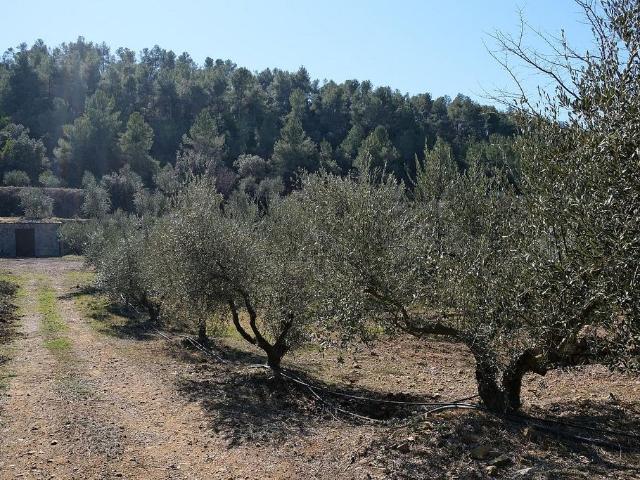 Chalet en venta en Priorat, Catalunya
