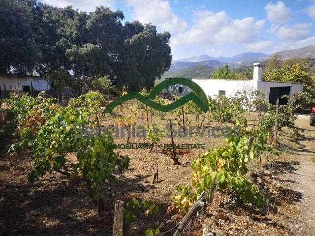 Chalet en venta en Serranía de Ronda, Andalucía
