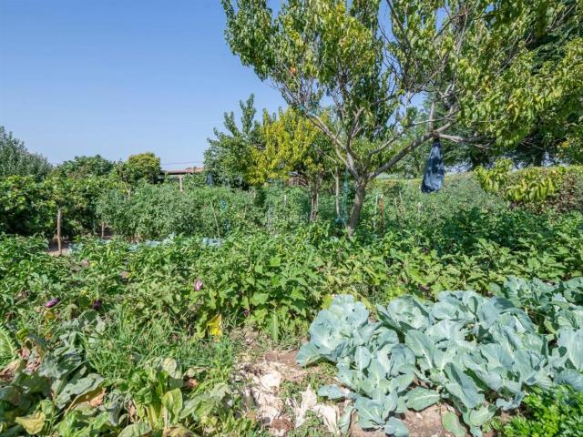 Chalet en venta en Valdetorres De Jarama, Madrid