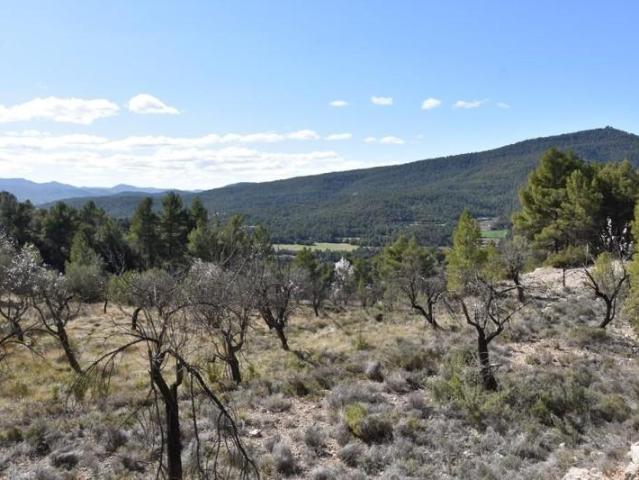 Chalet en venta en Matarraña / Matarranya, Fuentespalda