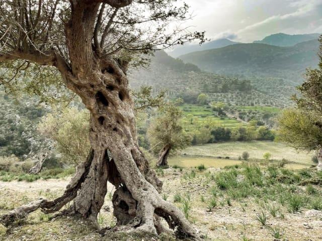 Chalet en venta en Serra de Tramuntana, Baleares