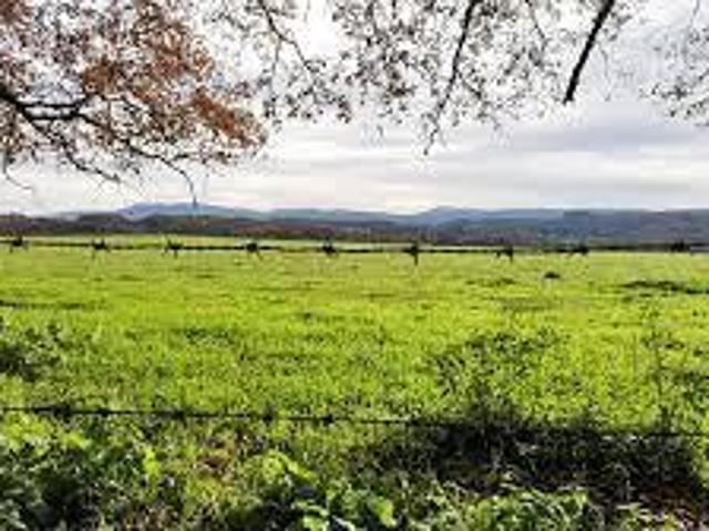 Chalet en venta en Grado, Asturias