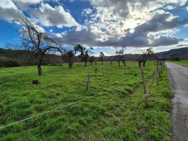 Chalet en venta en Grado, Asturias