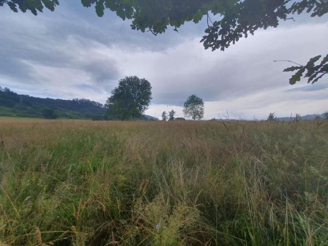 Chalet en venta en Grado, Asturias